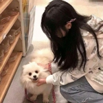 马斯克大冒险游戏